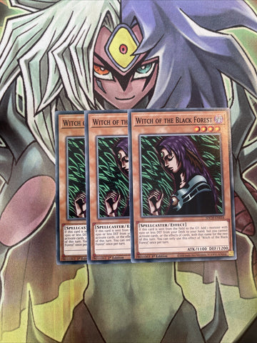 SDCH-EN016 x3 Witch of the Black Forest Common Excellent Condition Yugioh