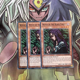 SDCH-EN016 x3 Witch of the Black Forest Common Excellent Condition Yugioh