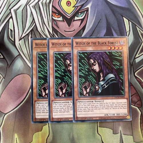 SDCH-EN016 x3 Witch of the Black Forest Common Excellent Condition Yugioh