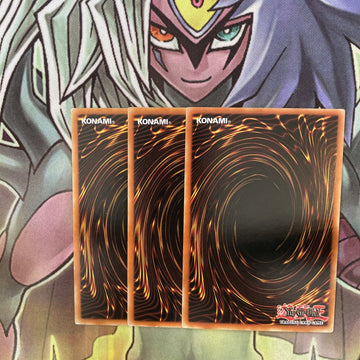 HA04-EN030 x3 Naturia Landoise Secret Rare Excellent Condition Yugioh (back)