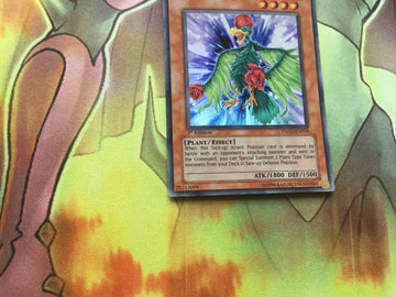 TSHD-EN018 YUGIOH BIRD OF ROSES SUPER RARE 1st Edition PLANT (back)