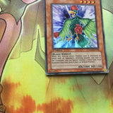 TSHD-EN018 YUGIOH BIRD OF ROSES SUPER RARE 1st Edition PLANT