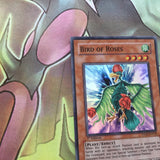 TSHD-EN018 YUGIOH BIRD OF ROSES SUPER RARE 1st Edition PLANT