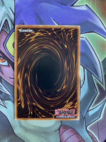 RGBT-EN033 Alien Dog Common 1st Edition NM Yugioh Card (back)