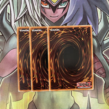 CYHO-EN016 x3 Dragunity Senatus Super Rare Excellent Condition Yugioh (back)
