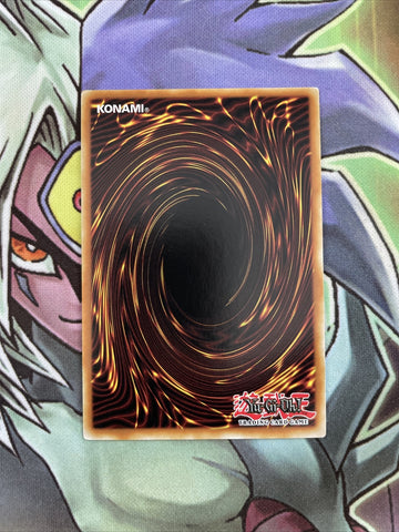JOTL-EN028 World Of Prophecy Secret Rare Unl Edition Yugioh Card NM (back)