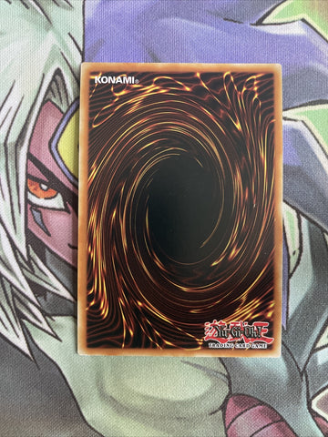STP1-EN006 The Flute Of Summoning Dragon Super Rare Unl Edition NM Yugioh Card (back)