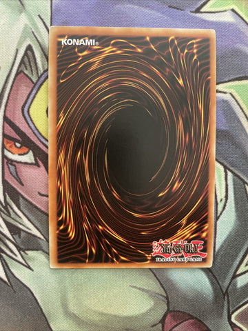 DOCS-EN052 Majester Paladin, the Ascending Dracoslayer Ultra 1st Ed NM Yugioh (back)