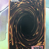 MRL-E127 Yugioh One-Eyed Shield Dragon