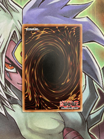 TSHD-EN033 Ronintoadin Common Unlimited Edition NM Yugioh Card (back)