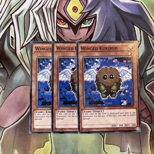 SDHS-EN016 x3 Winged Kuriboh Common Excellent Condition Yugioh