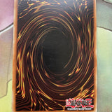 DP05 EN030 Yugioh! TCG. - Eternal Dread - Super Rare - 1st Edition