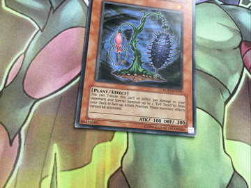 RGBT-EN009 Evil Thorn Common Unl Edition YuGiOh (back)