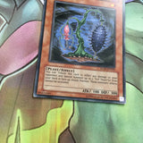RGBT-EN009 Evil Thorn Common Unl Edition YuGiOh