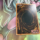 RGBT-EN009 Evil Thorn Common Unl Edition YuGiOh