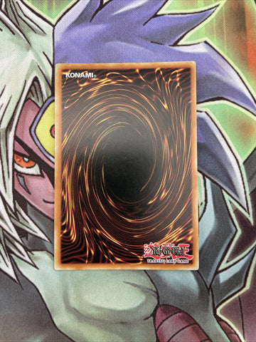 PGL3-EN066 Constellar Pleiades Gold Rare 1st Edition NM Yugioh Card (back)