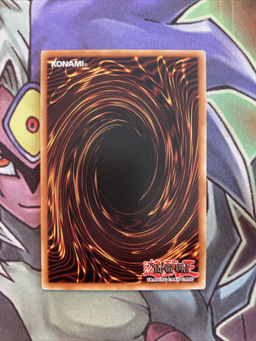 SP17-EN040 D/D/D Oracle King D'Arc Starfoil 1st Edition NM Yugioh Card (back)