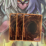 CYHO-EN008 x3 Crusadia Leonis Common Excellent Condition Yugioh