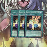 DP2-EN019 x3 Level Modulation Rare Excellent Condition Yugioh