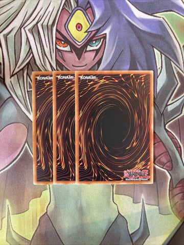 SBCB-EN021 x3 Dark Paladin Common Excellent Condition Yugioh (back)
