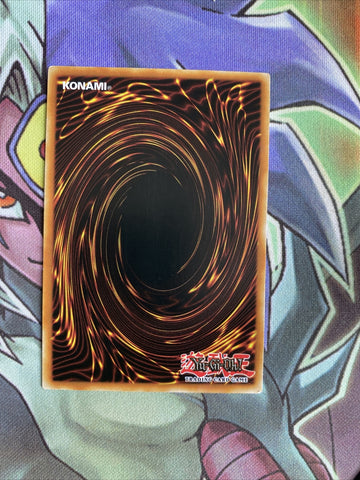RYMP-EN061 Chimeratech Overdragon Rare 1st Edition NM Yugioh Card (back)