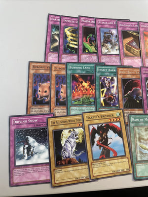 20 PSV 1st Edition Cards Yugioh Card Bundle (back)