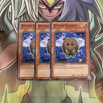 LCGX-EN009 x3 Winged Kuriboh Common Excellent Condition Yugioh