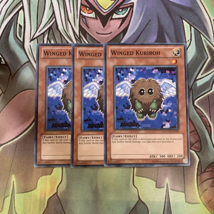 LCGX-EN009 x3 Winged Kuriboh Common Excellent Condition Yugioh