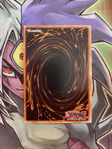 FOTB-EN041 Tri-Blaze Accelerator Super Rare 1st Edition NM Yugioh Card (back)