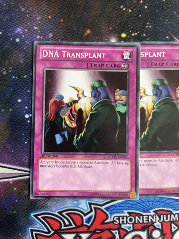 LCYW-EN292 x3 DNA Transplant Common Playset Yugioh (back)