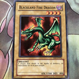DB2-EN036 Blackland Fire Dragon Yugioh