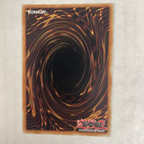 PHHY-EN050 Dyna Mondo Single 1st Edition YuGiOh Cards