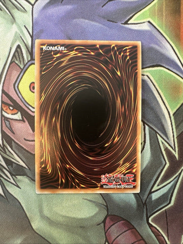PGLD-EN076 Stardust Dragon Gold Rare 1st Edition NM Yugioh Card (back)