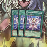 DP1-EN018 x3 Transcendent Wings Common Excellent Condition Yugioh