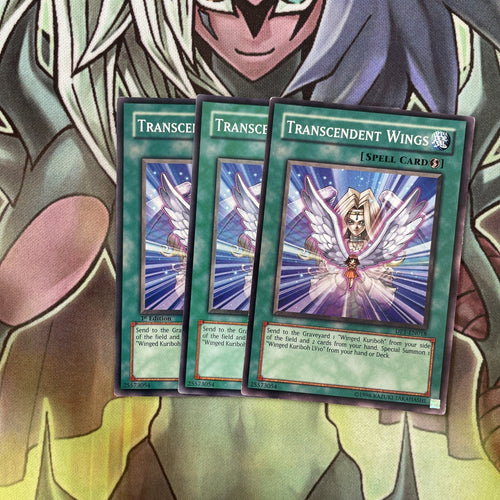DP1-EN018 x3 Transcendent Wings Common Excellent Condition Yugioh