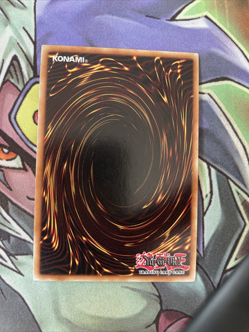 LCYW-EN246 Spirit Reaper Unlimited Edition NM Yugioh Card (back)