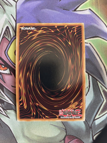 OP17-IT012 Basal Rose Shoot Super Rare ITALIAN Unlimited Edition NM Yugioh Card (back)