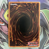 SS02-ENB01 Red-Eyes B. Dragon Common 1st Edition NM Yugioh Card