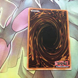 DRL3-EN039 FLOWER CARDIAN LIGHTSHOWER SECRET RARE 1ST ED HOLO NM YUGIOH CARD