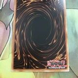 SHVI-EN013 LUNALIGHT TIGER1ST EDITION YUGIOH CARD