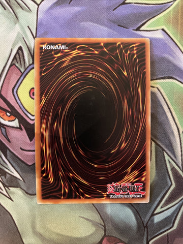 YGLD-ENC04 Silent Magician LV8 Ultra Rare 1st Edition NM Yugioh Card (back)