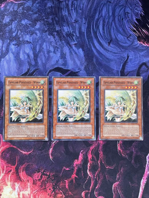 EEN EN029 Yugioh | Familiar-Possessed - Wynn × 3 | Common