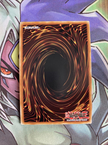 SBTK-EN024 Jurrac Stauriko Super Rare 1st Edition NM Yugioh Card (back)