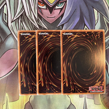 DASA-EN026 x3 Training Fur Hire, Fur All Your Training Needs Secret Exc Yugioh (back)