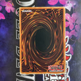 OP10-EN018 T.G. Hyper Librarian Common Near Mint Condition Yugioh