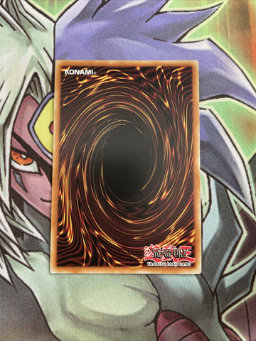 PGLD-EN014 Dynatherium Gold Secret Rare 1st Edition NM Yugioh Card (back)