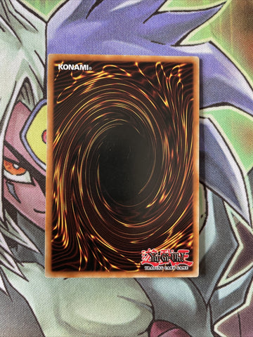 LODT-EN047 Demise Of The Land Common UNL Edition NM Yugioh Card (back)
