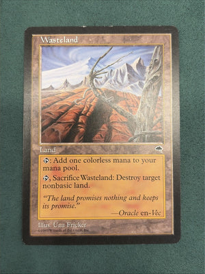 MTG Wasteland Tempest LP Magic The Gathering