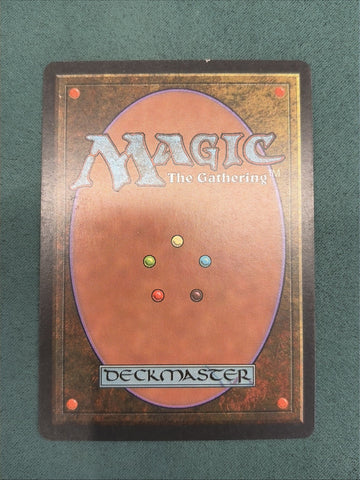 MTG Wasteland Tempest LP Magic The Gathering (back)
