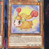 CROS-EN011 x3 Fluffal Sheep - Common - Unlimited Edition Yugioh